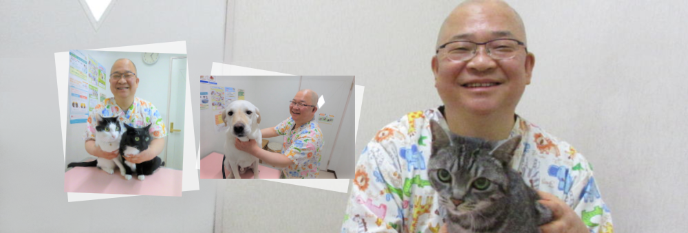 とよだ動物病院